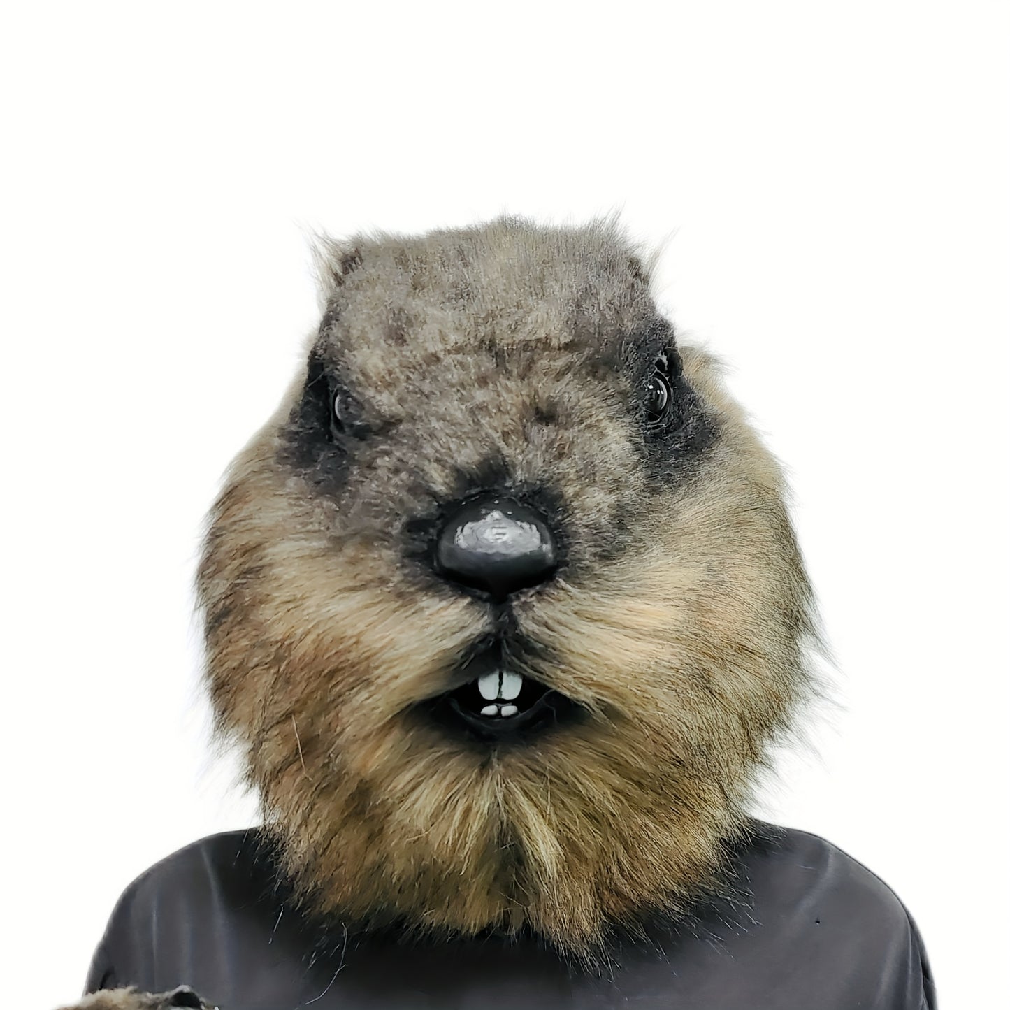 Ultra-Realistic Groundhog Latex Mask Headgear for Cosplay and Parties