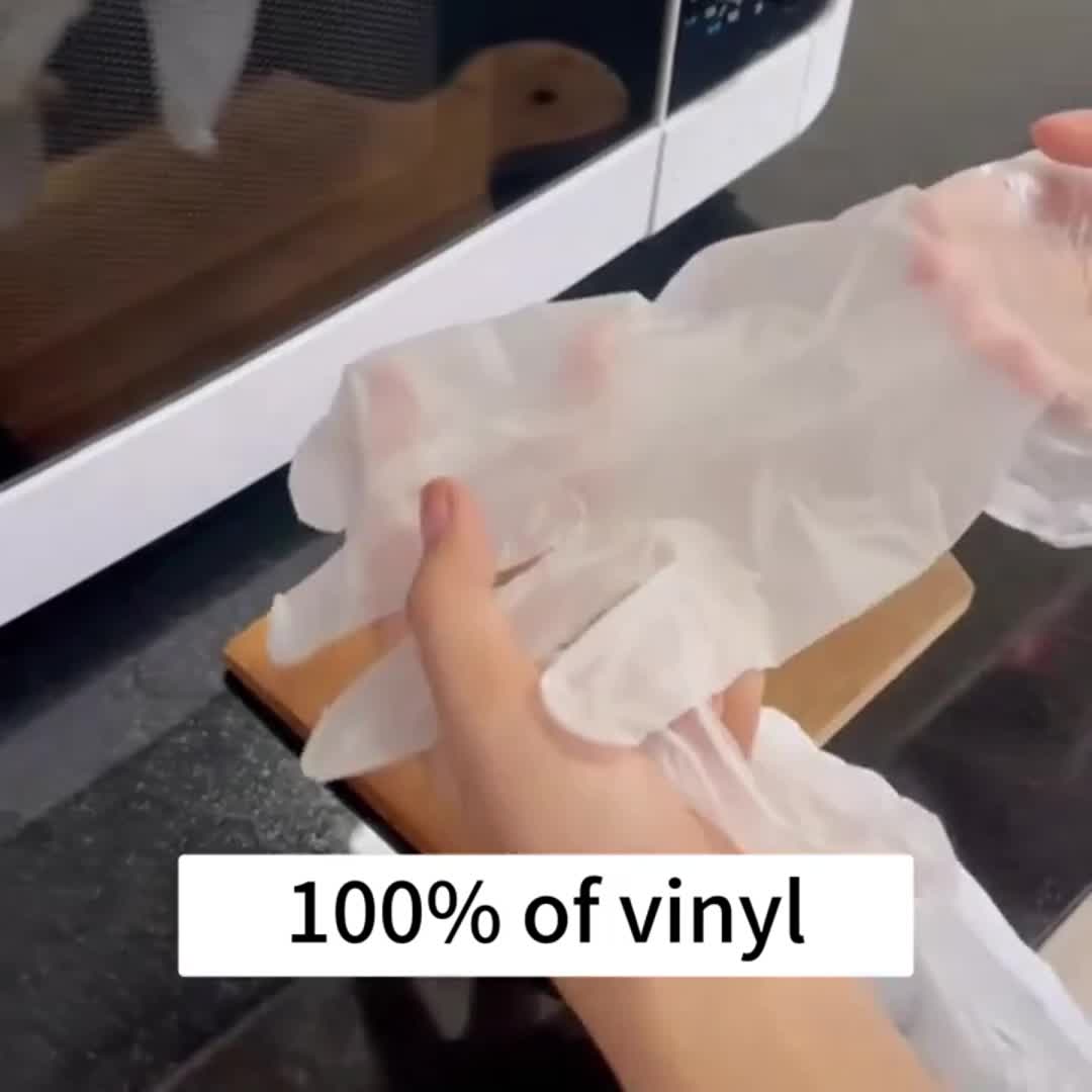 Disposable Vinyl Gloves Latex Free Powder Free Ambidextrous 200 Count