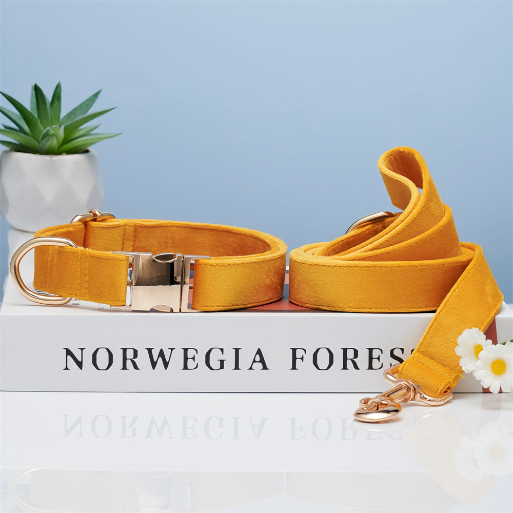 Rose Golden Hardware Luxury Pet Collar And Leash Set Polyester