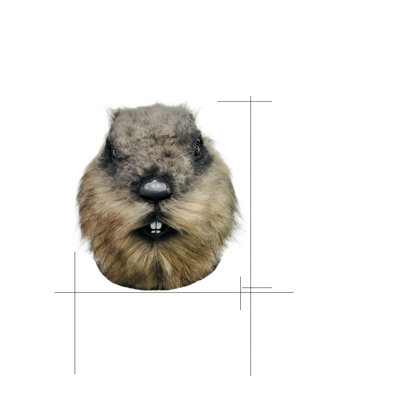 Ultra-Realistic Groundhog Latex Mask Headgear for Cosplay and Parties