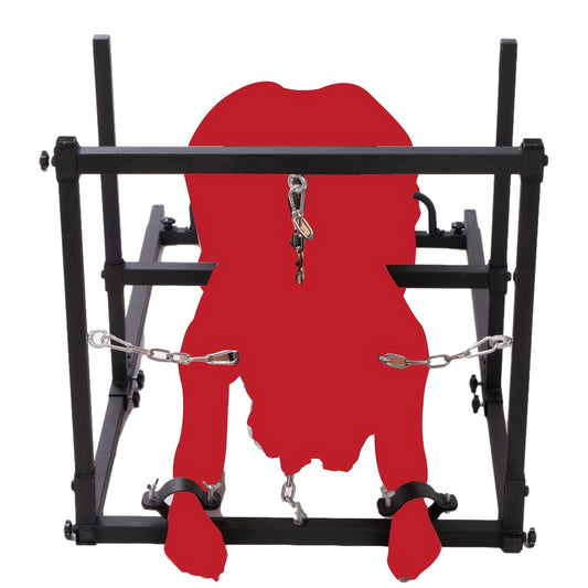 BDSM Pillory Shackles Sex Chair for Couples and Adults Furniture