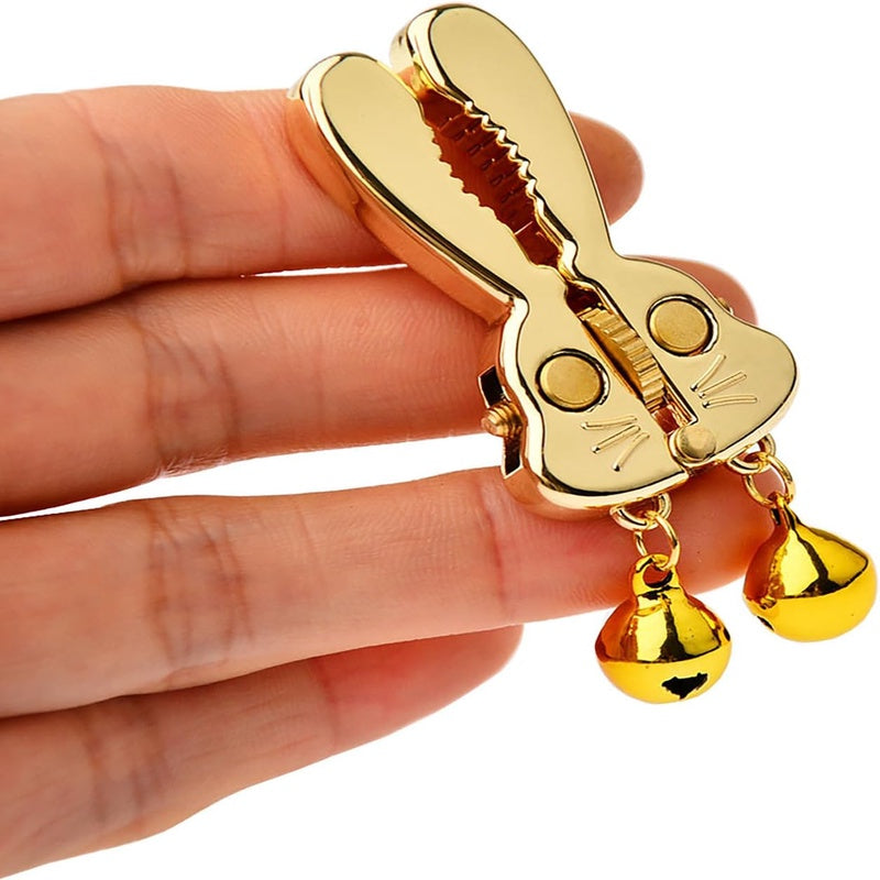 Stainless Steel Nipple Clip Set With Adjustable Clamps For Adults