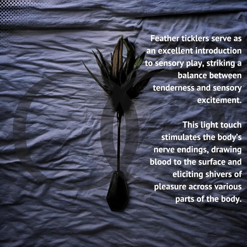 Sex Feather Teaser Tickler Leather Crop for Sensual BDSM Play