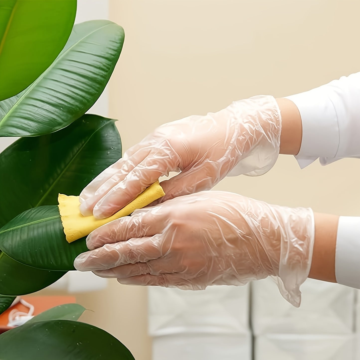 Disposable Vinyl Gloves Latex Free Powder Free Ambidextrous 200 Count